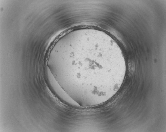 X0000061740972200512302207