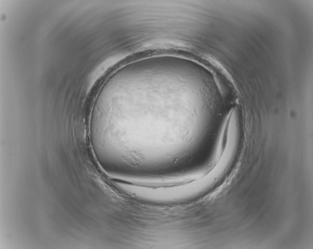 X0000061740973200512302207