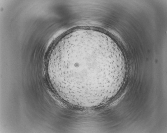 X0000061740974200512302207