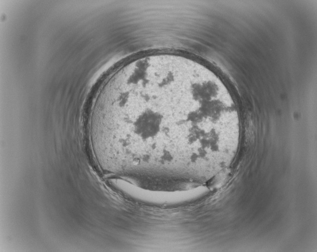 X0000061740975200512302207