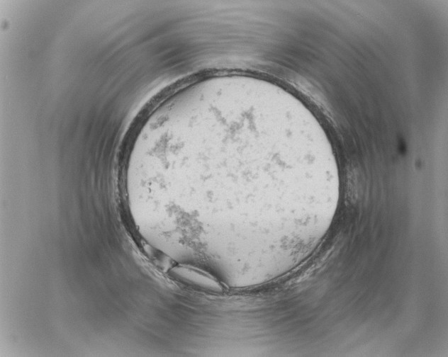 X0000061740976200512302207