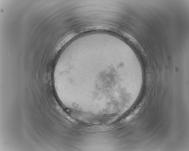 X0000061740977200512302207