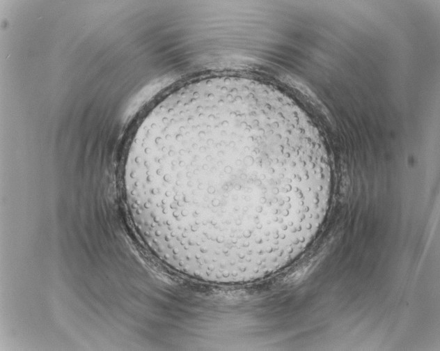 X0000061740978200512302207