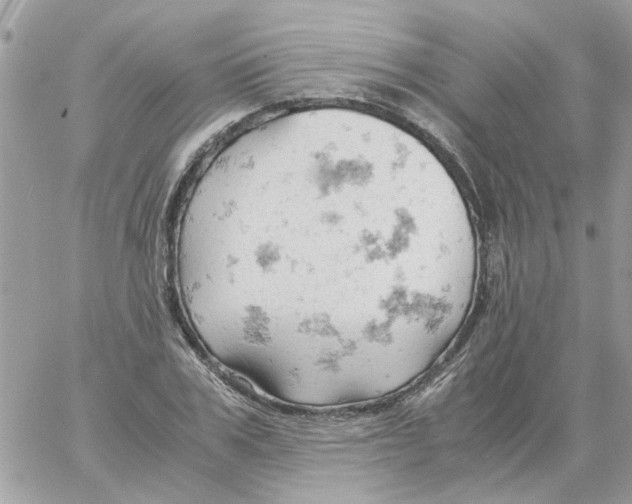 X0000061740979200512302207