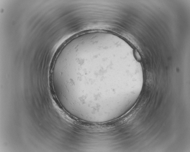 X0000061740980200512302207