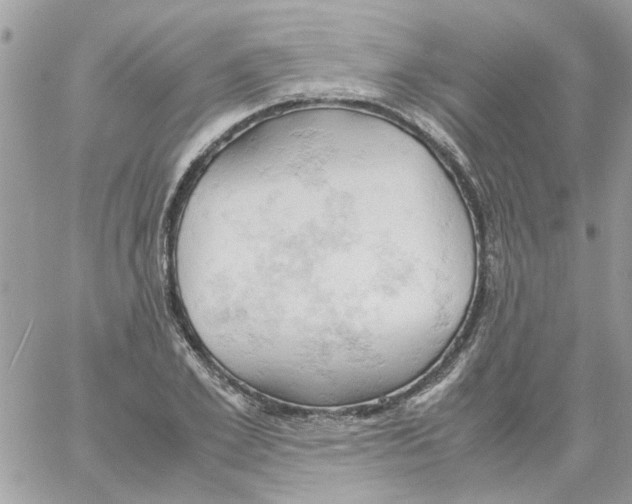 X0000061740981200512302207