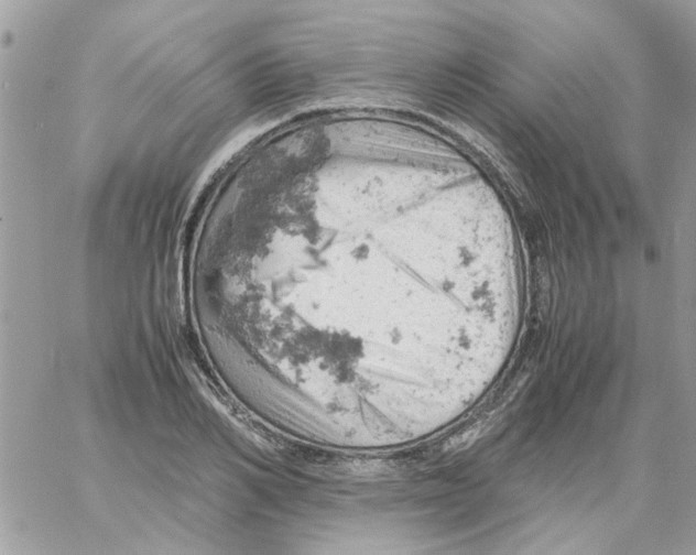 X0000061740982200512302207