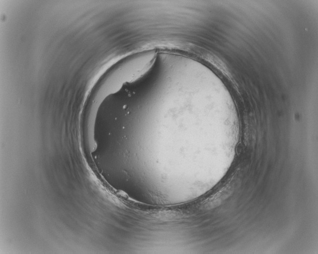 X0000061740984200512302207