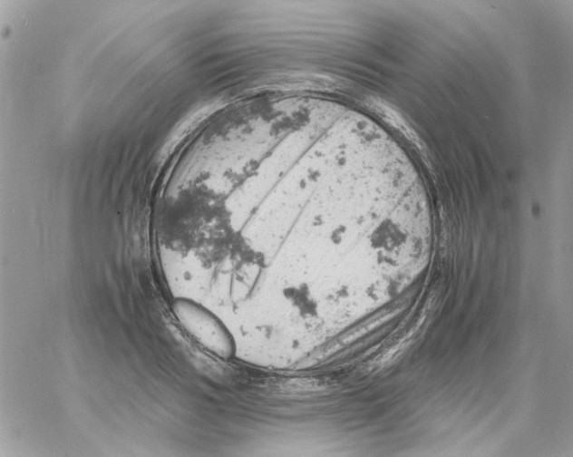 X0000061740986200512302207