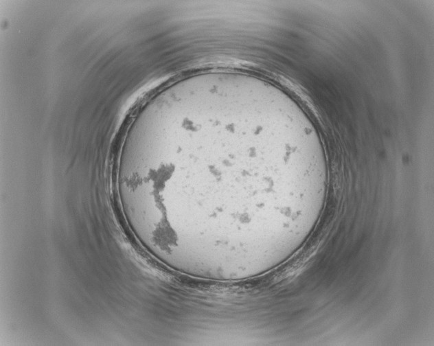 X0000061740987200512302207