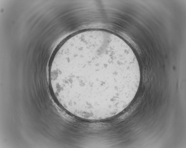 X0000061740988200512302207