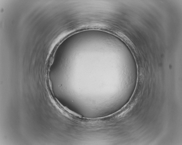 X0000061740989200512302207