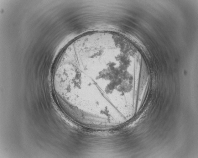 X0000061740990200512302207