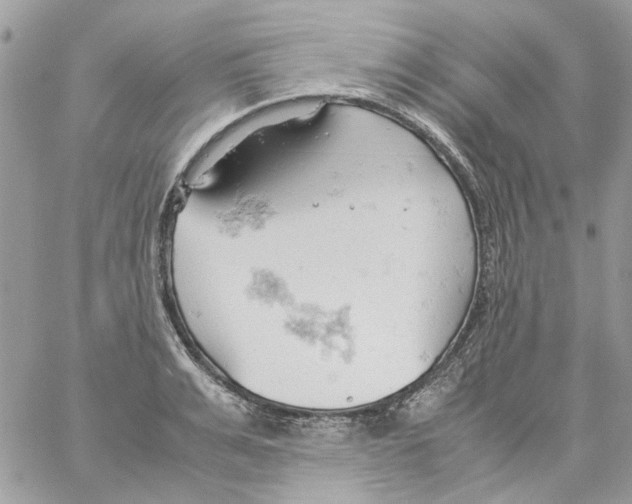 X0000061740991200512302207