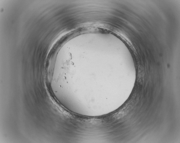 X0000061740992200512302207