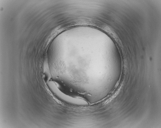 X0000061740993200512302207