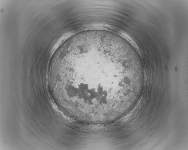 X0000061740994200512302207