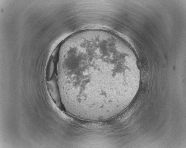 X0000061740995200512302207