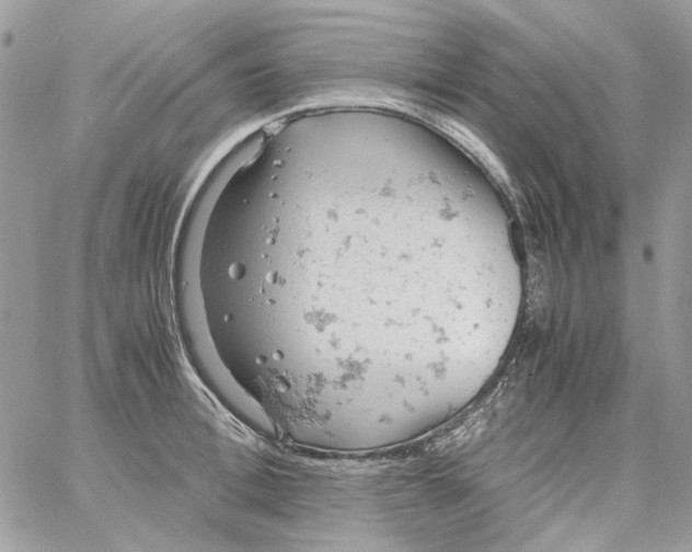 X0000061740996200512302207