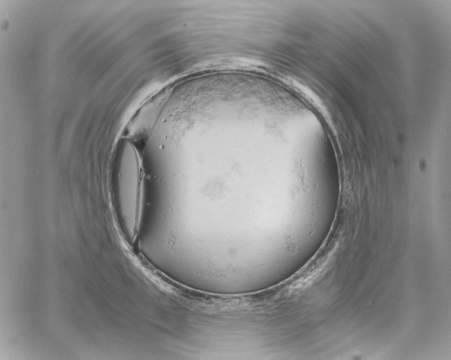 X0000061740997200512302207