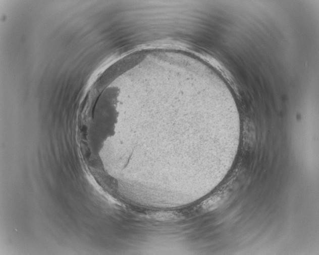 X0000061740998200512302207