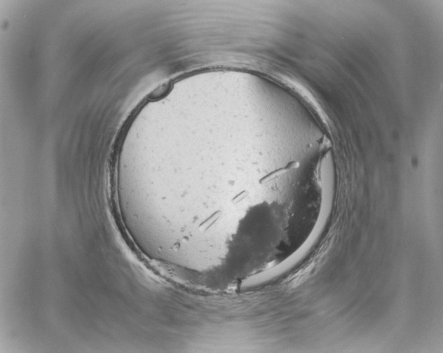 X0000061740999200512302207