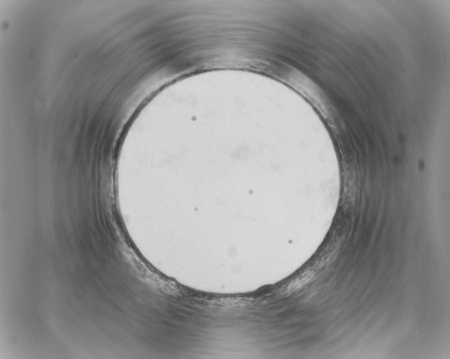 X0000061741000200512302207