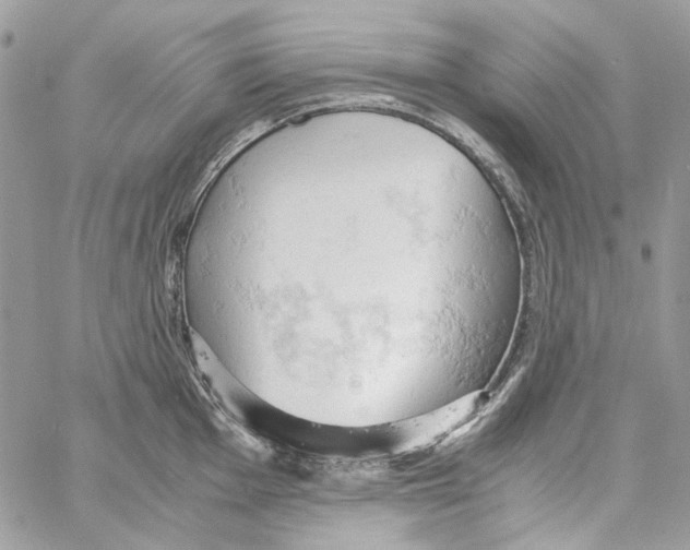 X0000061741001200512302207