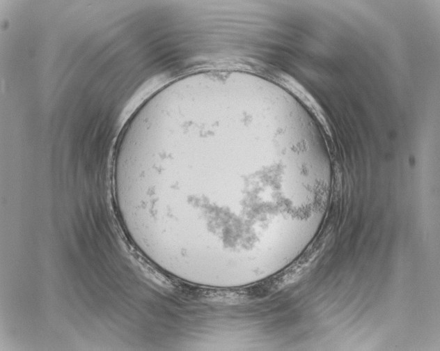 X0000061741002200512302207