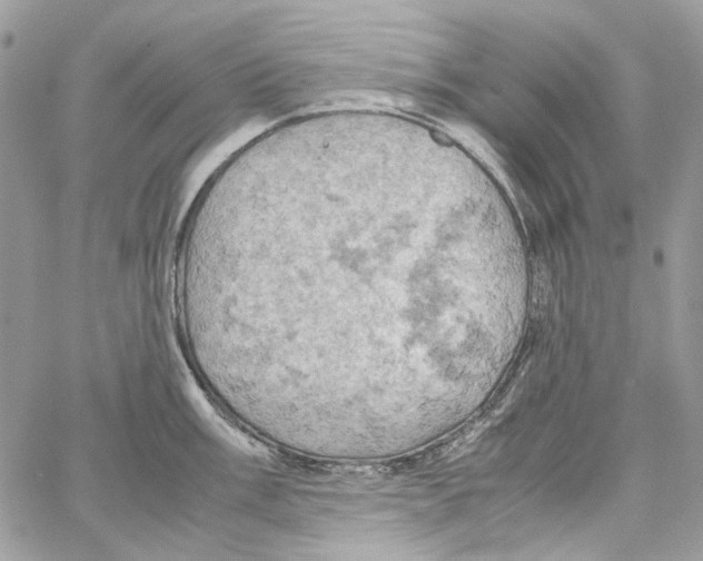 X0000061741003200512302207