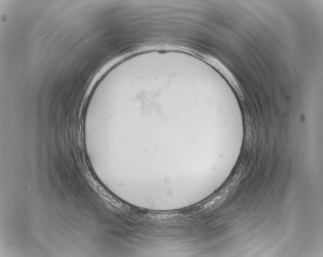 X0000061741004200512302207