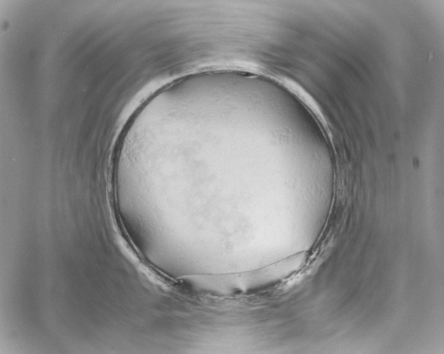 X0000061741005200512302207