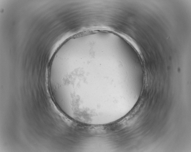 X0000061741006200512302207