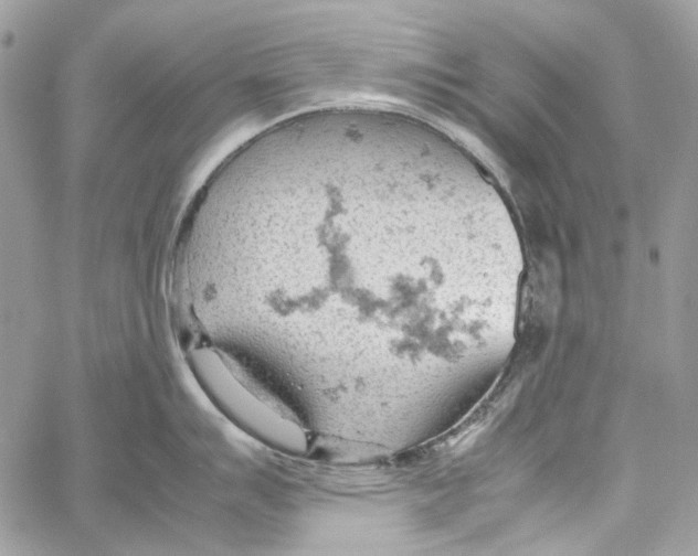 X0000061741007200512302206