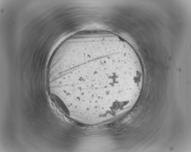 X0000061741008200512302206