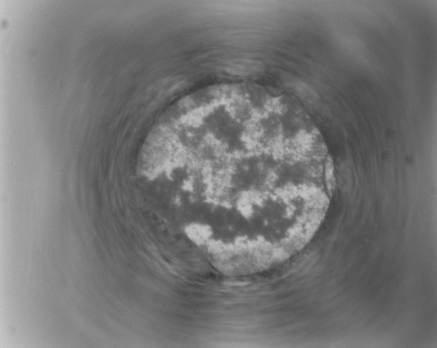 X0000061741009200512302206