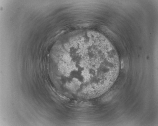 X0000061741011200512302206