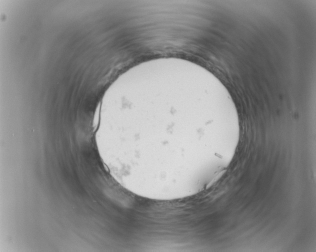 X0000061741012200512302206