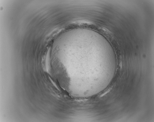 X0000061741014200512302206