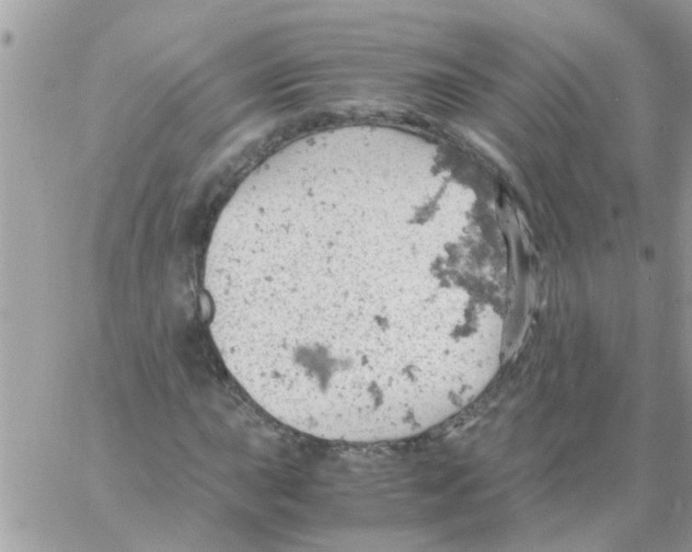 X0000061741015200512302206