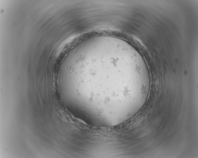 X0000061741016200512302206