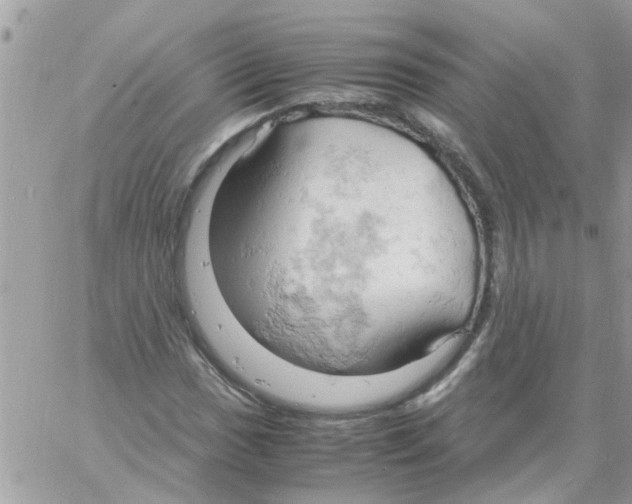 X0000061741017200512302206