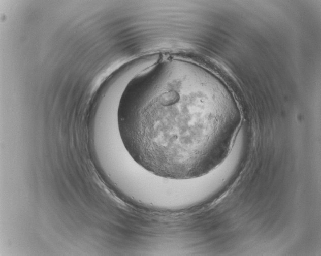 X0000061741018200512302206