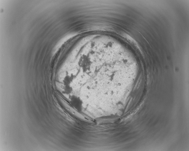 X0000061741019200512302206