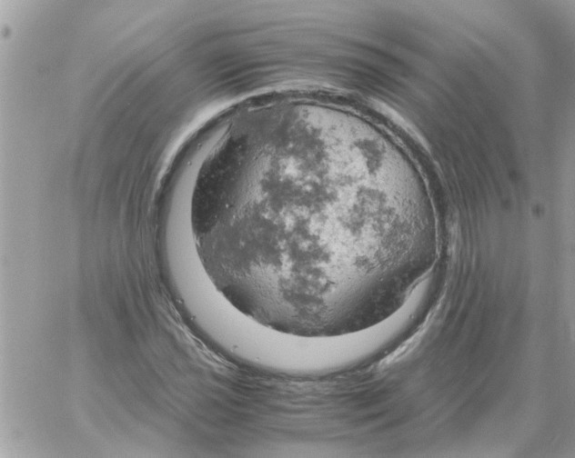 X0000061741021200512302206