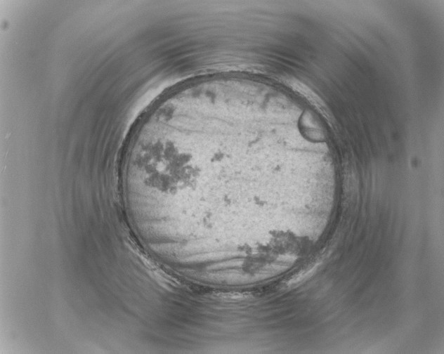 X0000061741023200512302206