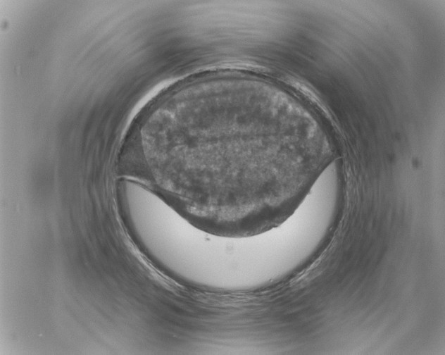 X0000061741024200512302206