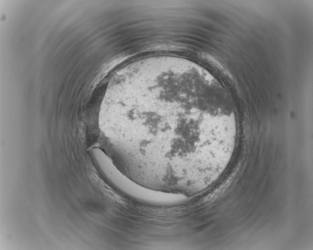 X0000061741025200512302206