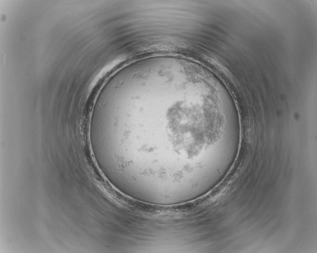 X0000061741026200512302206