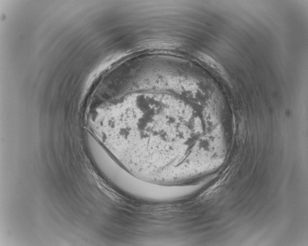 X0000061741027200512302206